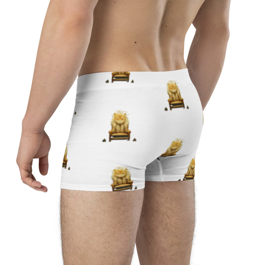 Boxer Briefs